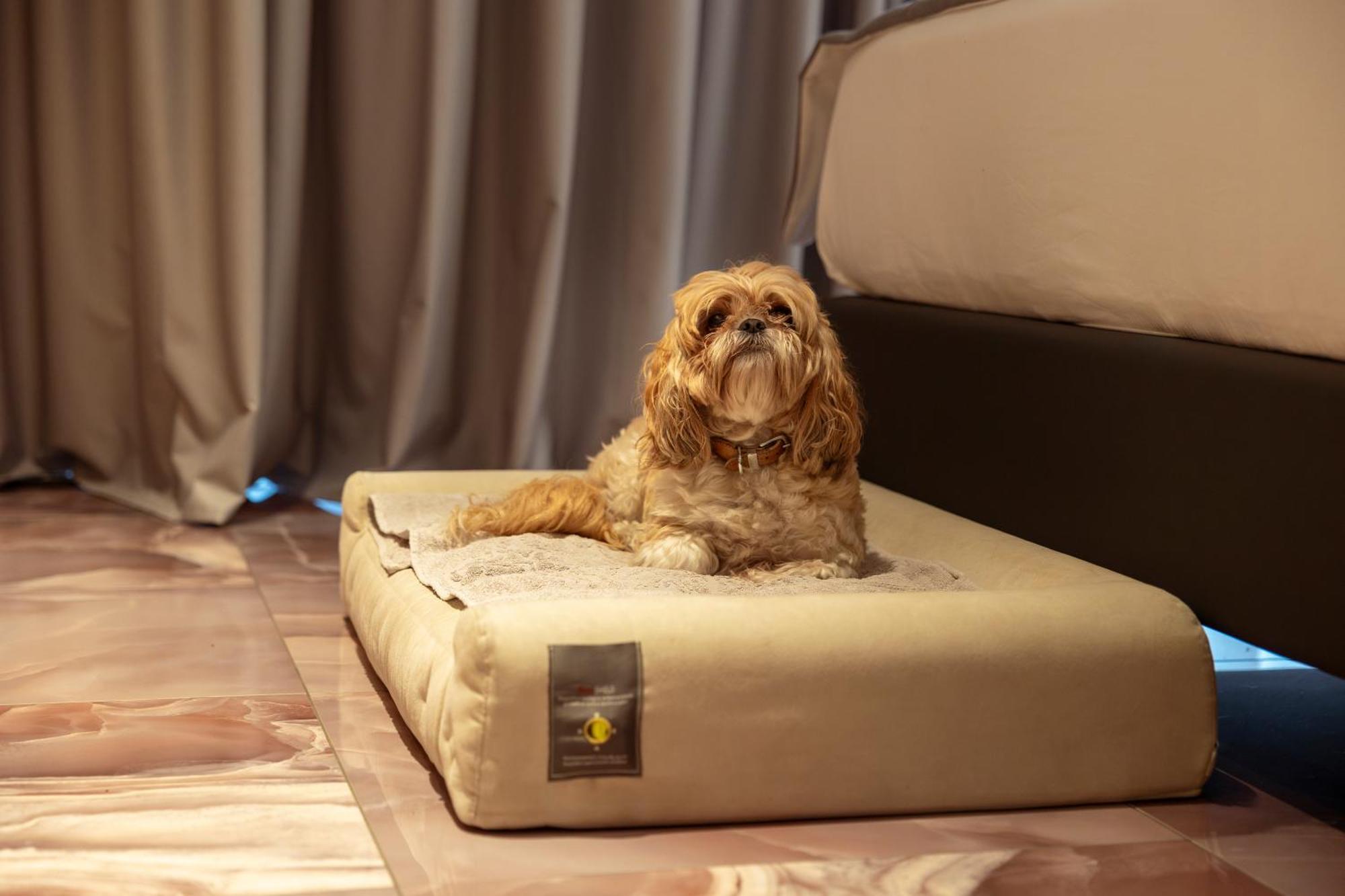 Boutique Hotel 西尔米奥奈 外观 照片